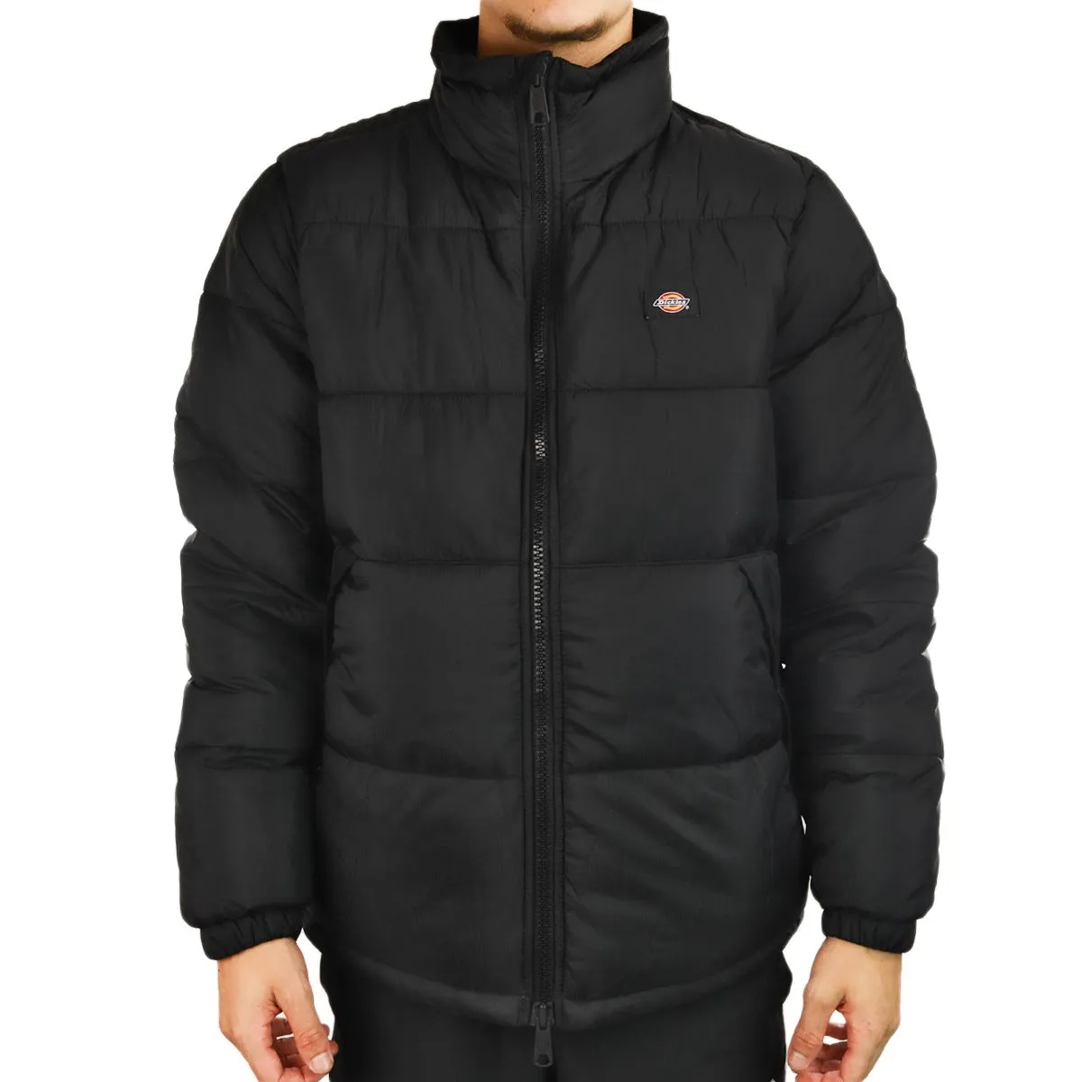 Dickies Waldenburg Winter Jacke DK0A4XP2BLK - schwarz