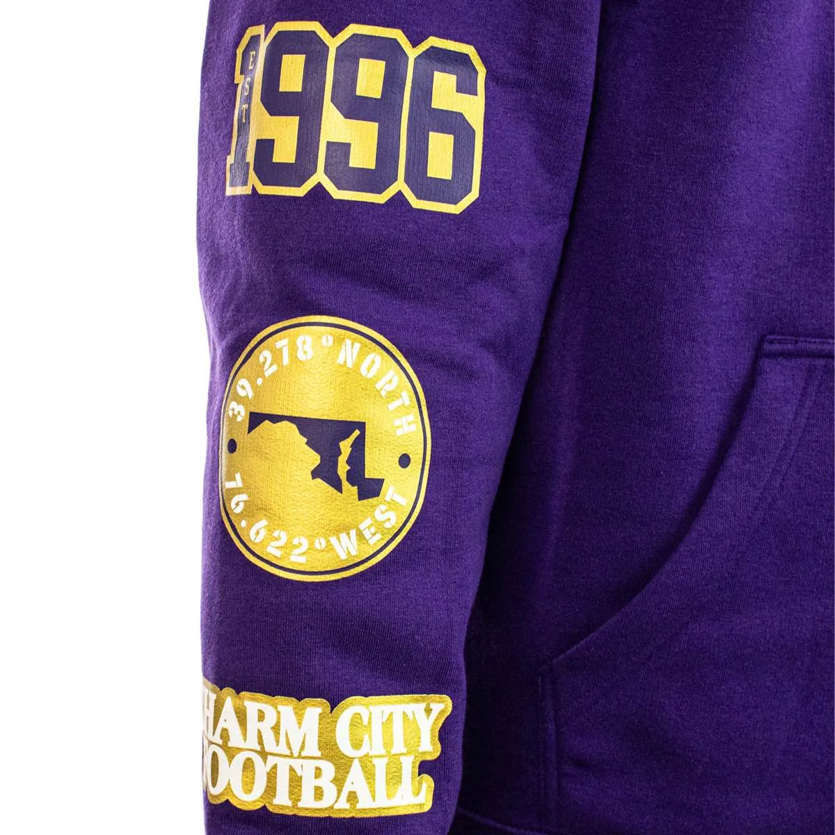 Fanatics Baltimore Ravens NFL Patched Out Fleece Hoodie 02K6-337A-8G-NRC - lila-schwarz