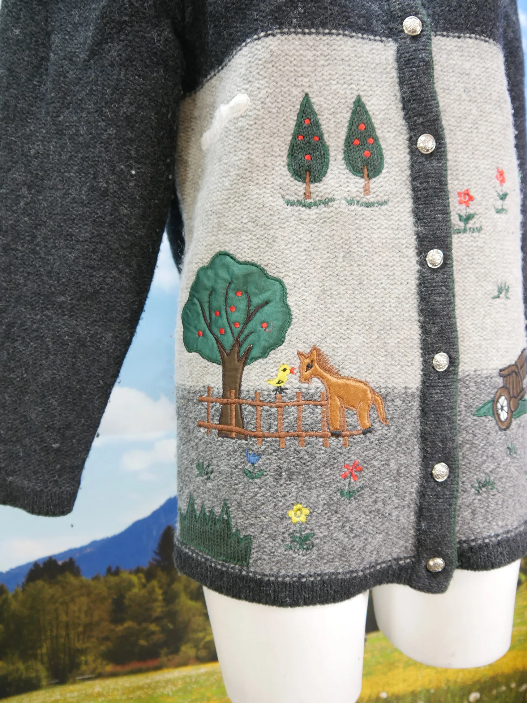 Your Sixth Sense C&A wunderschöne Strickjacke süße Trachtenjacke Jacke Gr.38